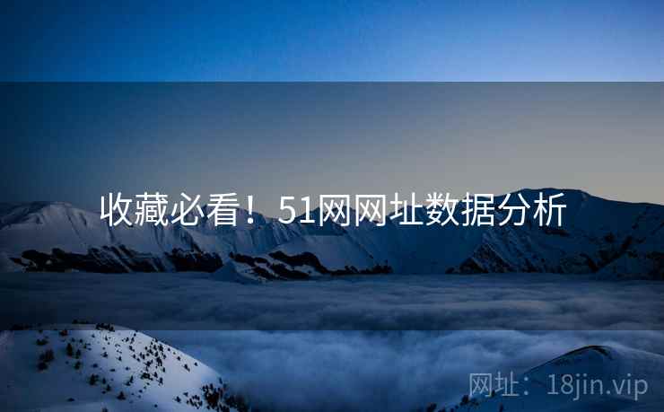 收藏必看！51网网址数据分析