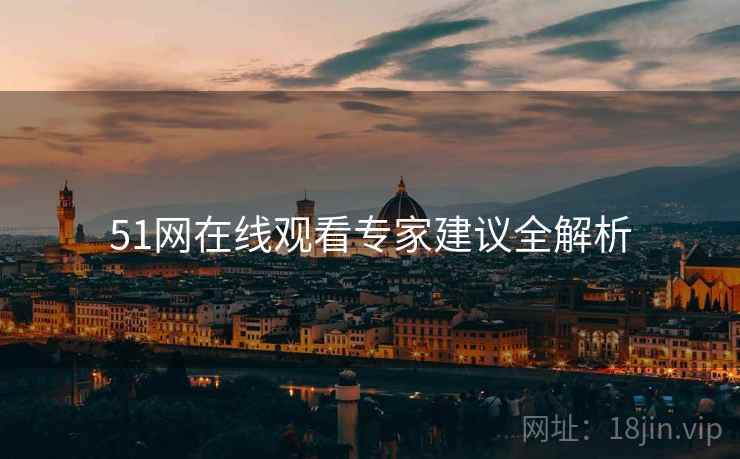 51网在线观看专家建议全解析