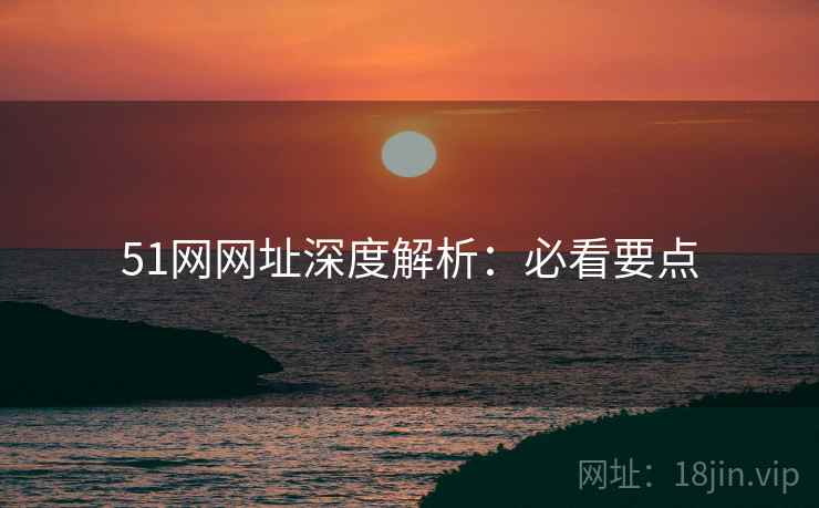 51网网址深度解析：必看要点