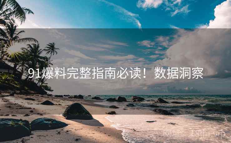 91爆料完整指南必读！数据洞察
