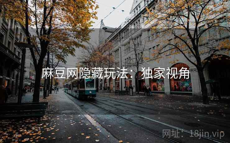 麻豆网隐藏玩法：独家视角