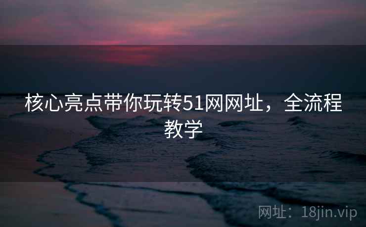 核心亮点带你玩转51网网址，全流程教学