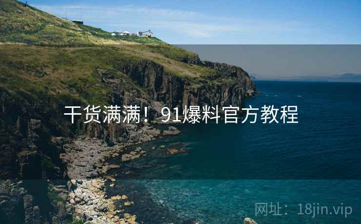 干货满满！91爆料官方教程