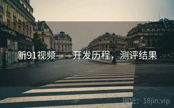 新91视频——开发历程，测评结果