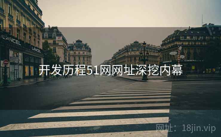 开发历程51网网址深挖内幕