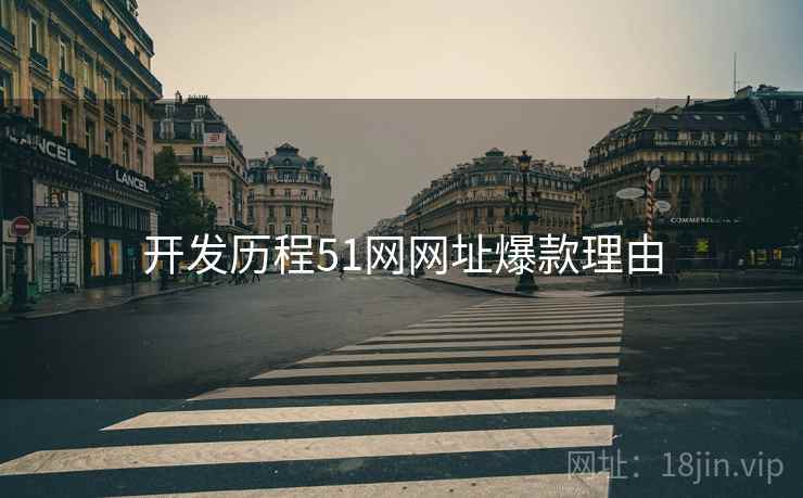 开发历程51网网址爆款理由