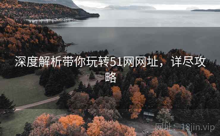 深度解析带你玩转51网网址，详尽攻略