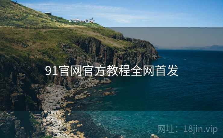 91官网官方教程全网首发