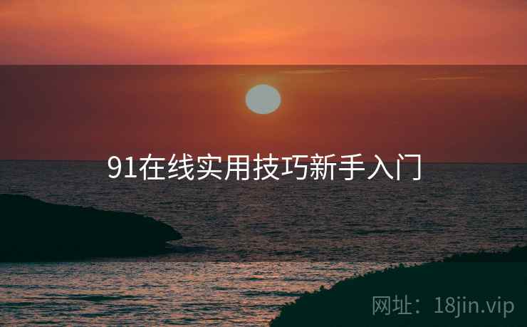 91在线实用技巧新手入门