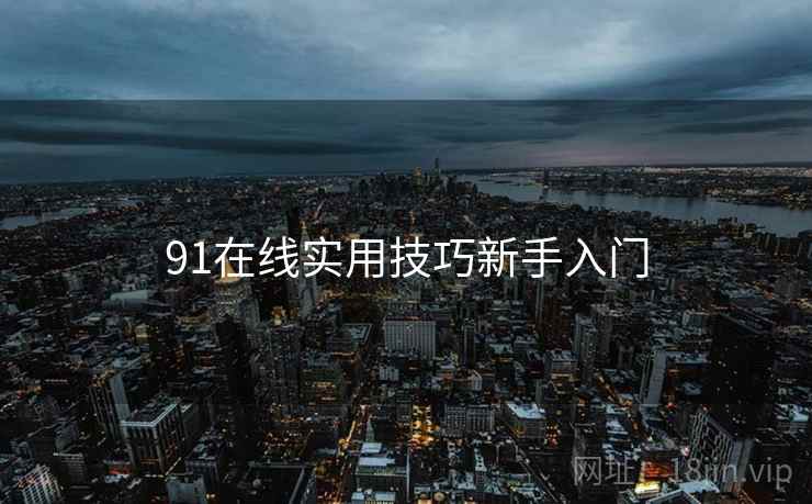 91在线实用技巧新手入门