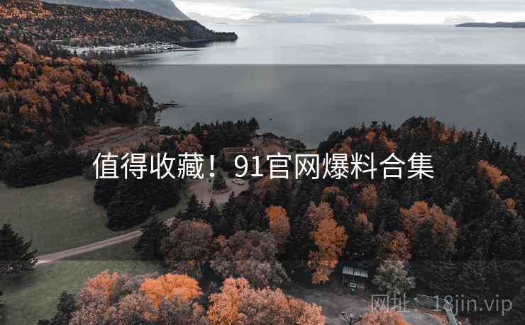 值得收藏！91官网爆料合集