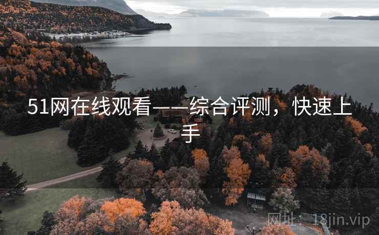 51网在线观看——综合评测，快速上手