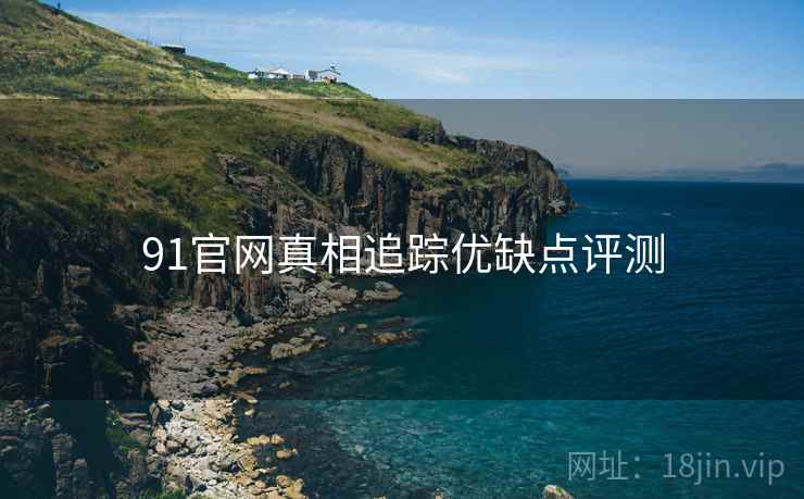 91官网真相追踪优缺点评测