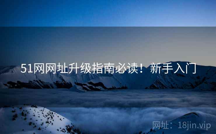 51网网址升级指南必读！新手入门