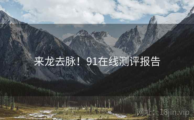 来龙去脉！91在线测评报告