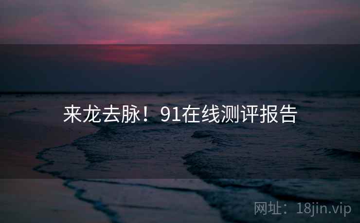 来龙去脉！91在线测评报告