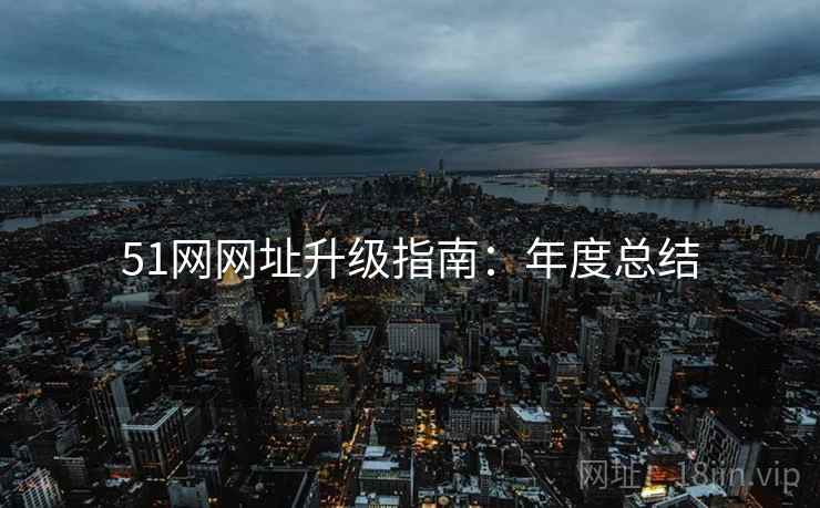 51网网址升级指南：年度总结