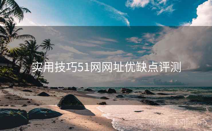 实用技巧51网网址优缺点评测