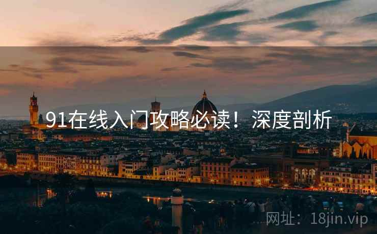 91在线入门攻略必读！深度剖析