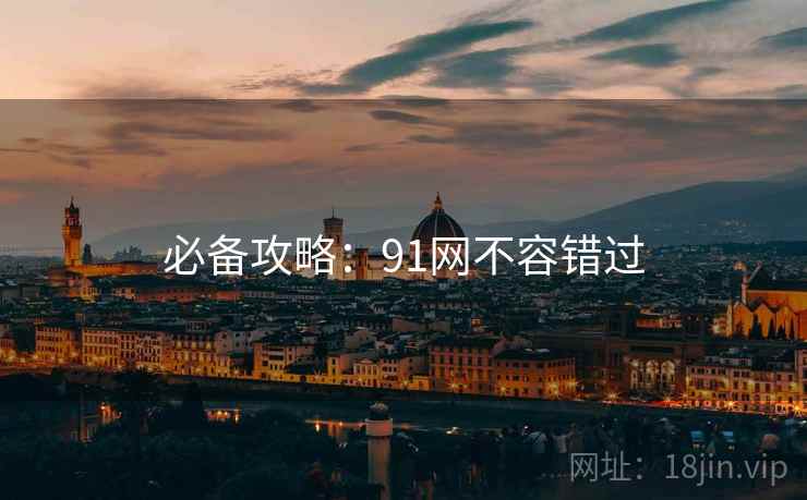 必备攻略：91网不容错过