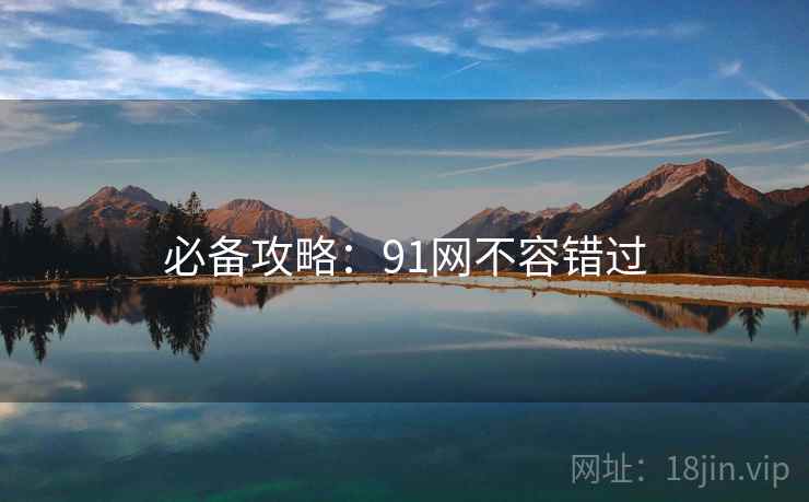 必备攻略：91网不容错过