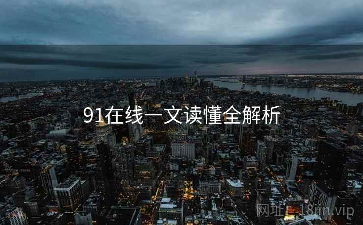 91在线一文读懂全解析