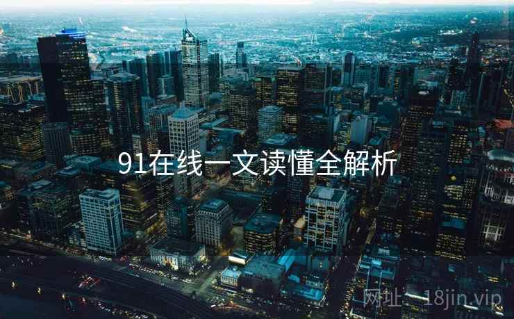 91在线一文读懂全解析