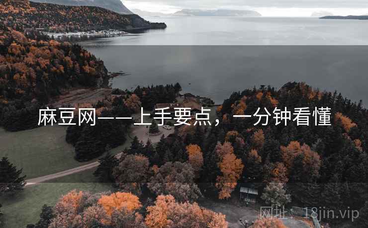 麻豆网——上手要点，一分钟看懂