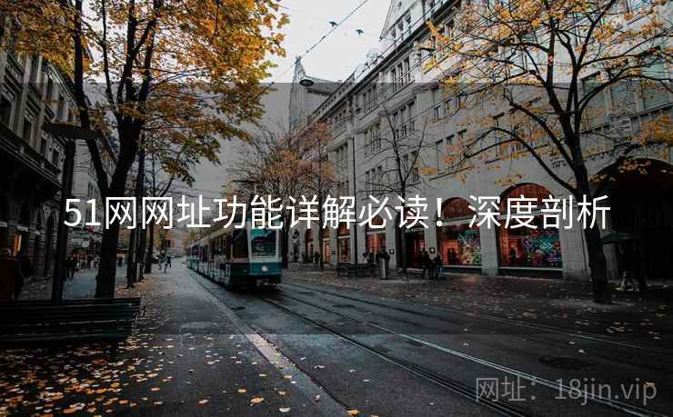 51网网址功能详解必读！深度剖析