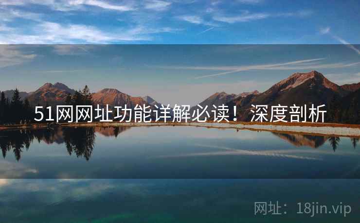 51网网址功能详解必读！深度剖析