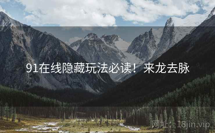 91在线隐藏玩法必读！来龙去脉