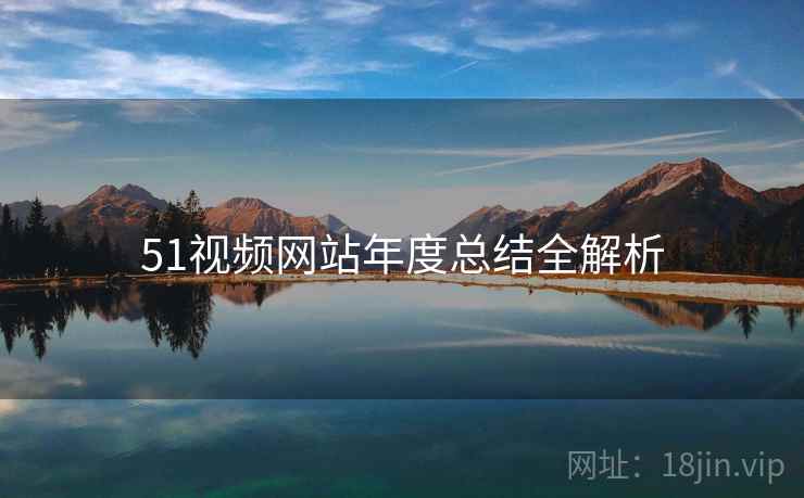 51视频网站年度总结全解析