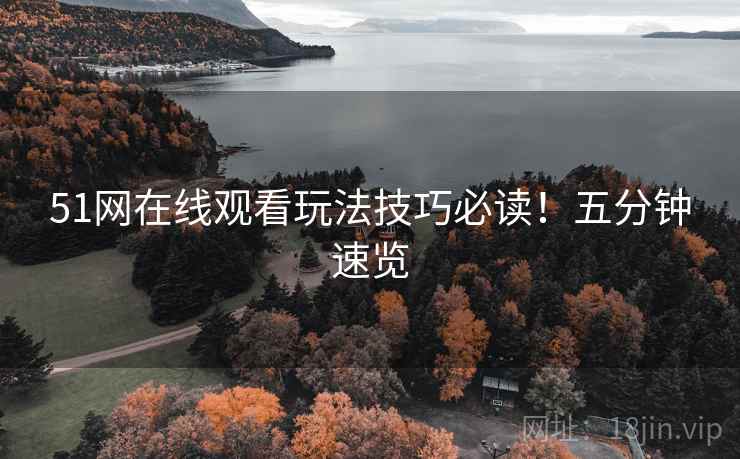 51网在线观看玩法技巧必读！五分钟速览